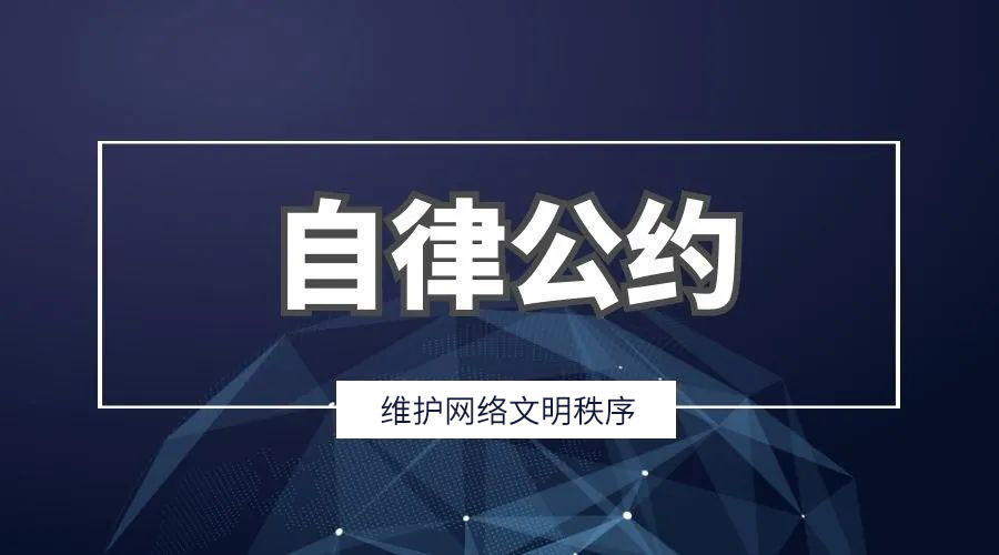 江蘇星海舞臺設備工程有限公司官網平臺自律公約